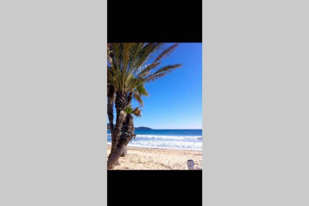 Au Petit Bonheur Vue Mer, Parking, 400M Plage Le Lavandou Dış mekan fotoğraf