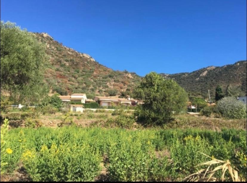 Au Petit Bonheur Vue Mer, Parking, 400M Plage Le Lavandou Dış mekan fotoğraf